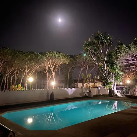 In Puerto Cabopino Holiday home